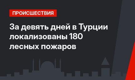 За девять дней в Турции локализованы 180 лесных пожаров