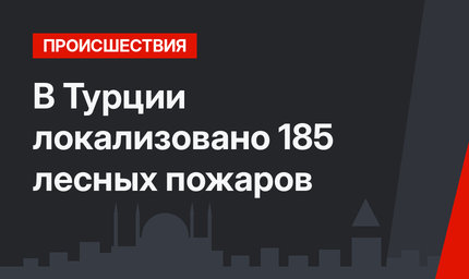 В Турции локализовано 185 лесных пожаров