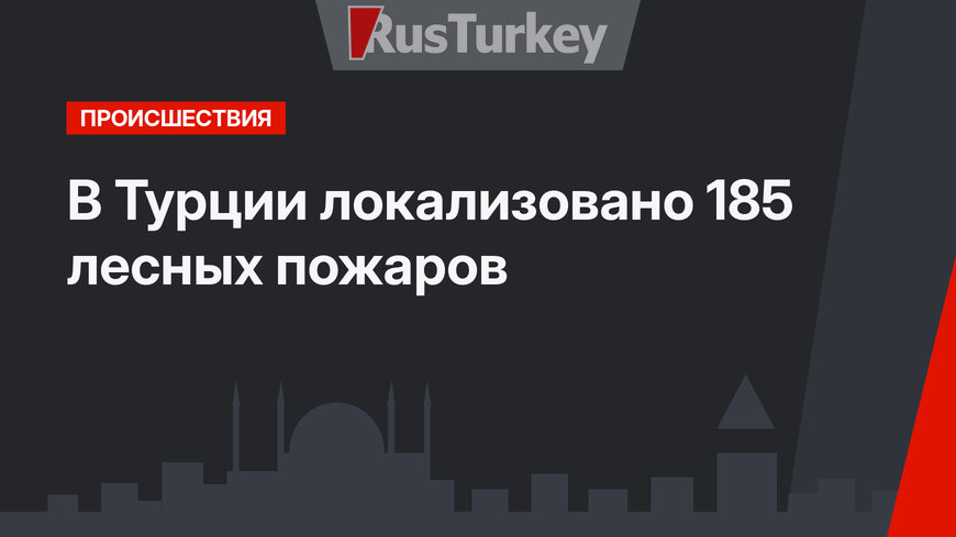 В Турции локализовано 185 лесных пожаров