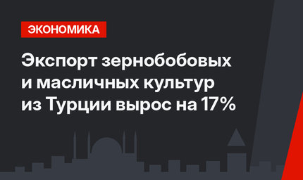 Экспорт зернобобовых и масличных культур из Турции вырос на 17%
