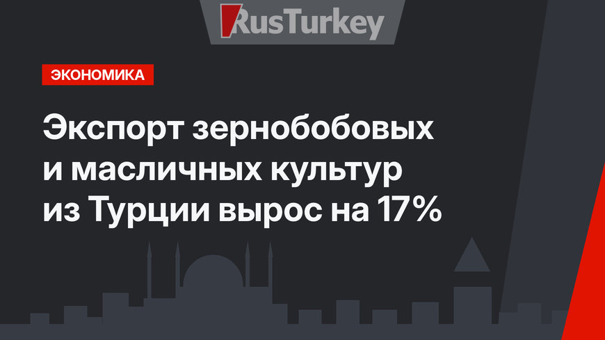 Экспорт зернобобовых и масличных культур из Турции вырос на 17%