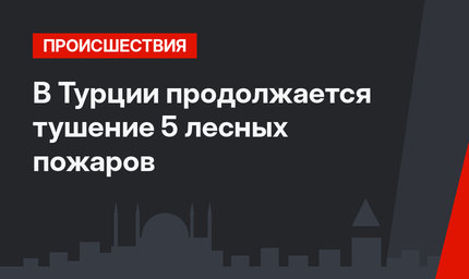 В Турции продолжается тушение 5 лесных пожаров