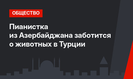 Пианистка из Азербайджана заботится о животных в Турции
