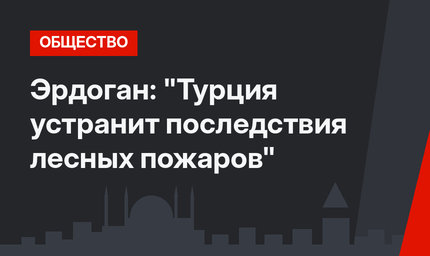 Эрдоган: "Турция устранит последствия лесных пожаров"