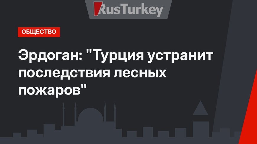 Эрдоган: "Турция устранит последствия лесных пожаров"