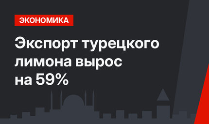 Экспорт турецкого лимона вырос на 59%
