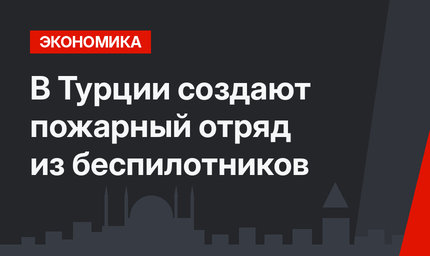  В Турции создают пожарный отряд из беспилотников