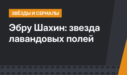 Эбру Шахин: звезда лавандовых полей
