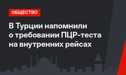 В Турции напомнили о требовании ПЦР-теста на внутренних рейсах 