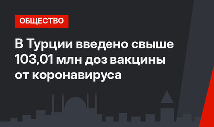 В Турции введено свыше 103,01 млн доз вакцины от коронавируса
