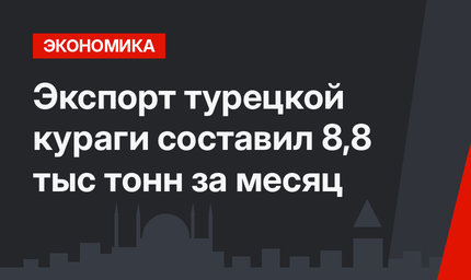 Экспорт турецкой кураги составил 8,8 тыс тонн за месяц