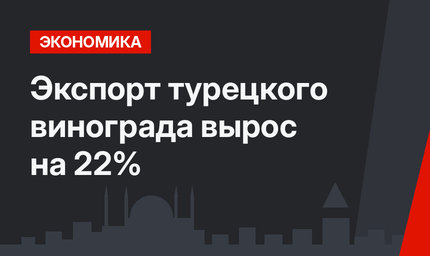 Экспорт турецкого винограда вырос на 22%