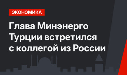 Глава Минэнерго Турции встретился с коллегой из России 
