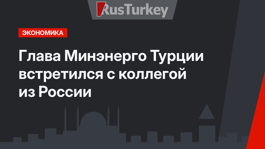 Глава Минэнерго Турции встретился с коллегой из России 