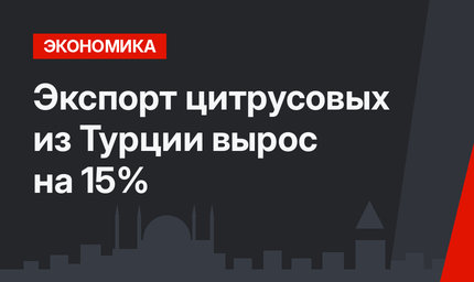 Экспорт цитрусовых из Турции вырос на 15%