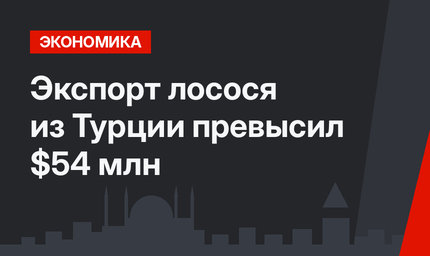 Экспорт лосося из Турции превысил $54 млн