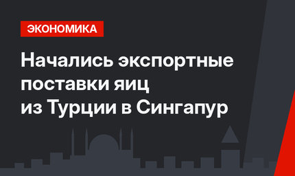 Начались экспортные поставки яиц из Турции в Сингапур