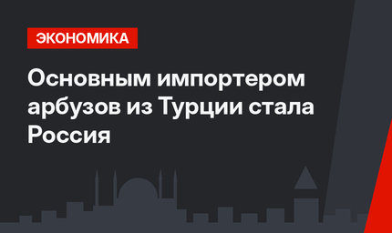 Основным импортером арбузов из Турции стала Россия