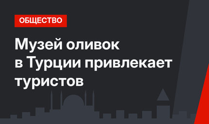 Музей оливок в Турции привлекает туристов