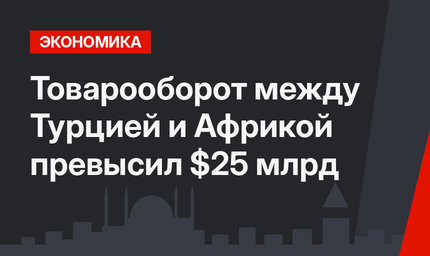 Товарооборот между Турцией и Африкой превысил $25 млрд