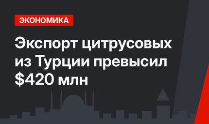 Экспорт цитрусовых из Турции превысил $420 млн