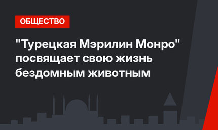 "Турецкая Мэрилин Монро" посвящает свою жизнь бездомным животным