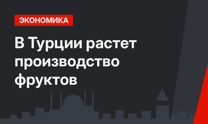 В Турции растет производство фруктов