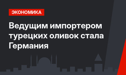Ведущим импортером турецких оливок стала Германия