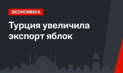 Турция увеличила экспорт яблок 