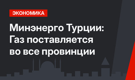 Минэнерго Турции: Газ поставляется во все провинции