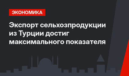 Экспорт сельхозпродукции из Турции достиг максимального показателя