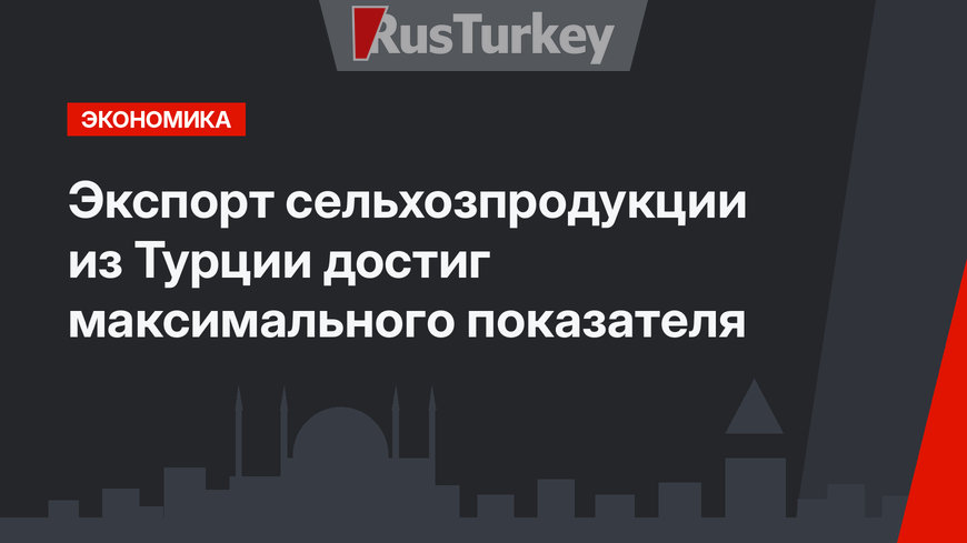Экспорт сельхозпродукции из Турции достиг максимального показателя