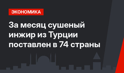 За месяц сушеный инжир из Турции поставлен в 74 страны