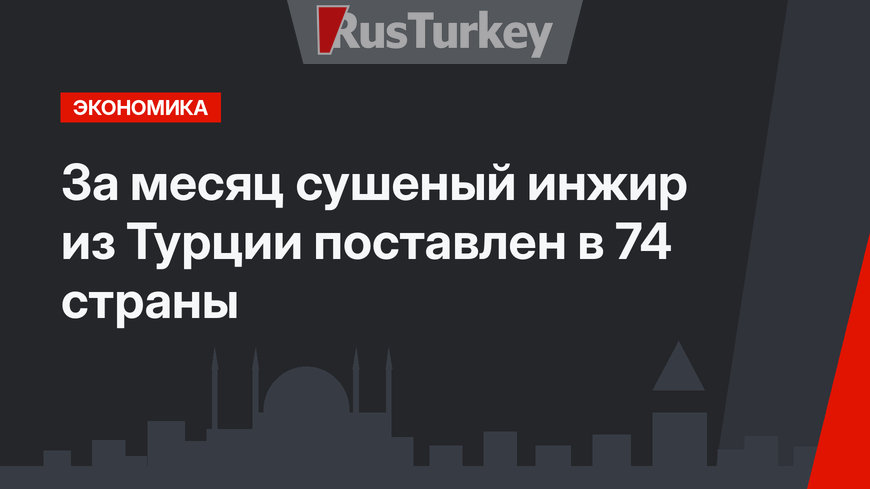За месяц сушеный инжир из Турции поставлен в 74 страны