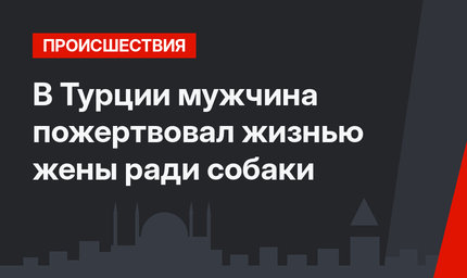 В Турции мужчина пожертвовал жизнью жены ради собаки