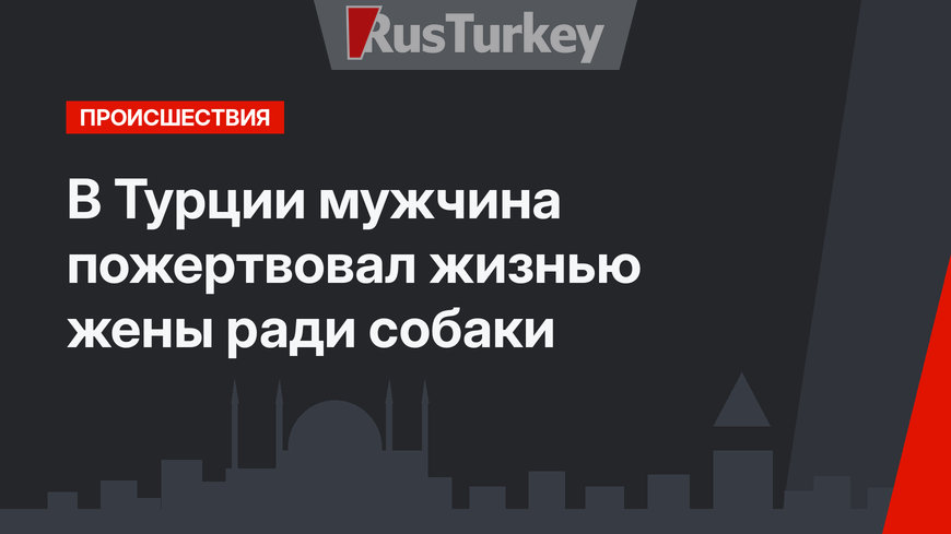 В Турции мужчина пожертвовал жизнью жены ради собаки