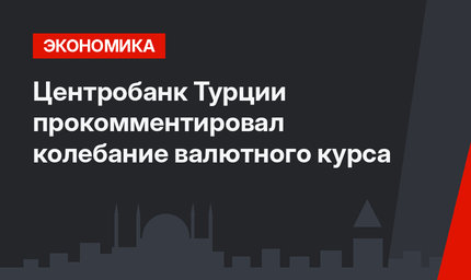 Центробанк Турции прокомментировал колебание валютного курса