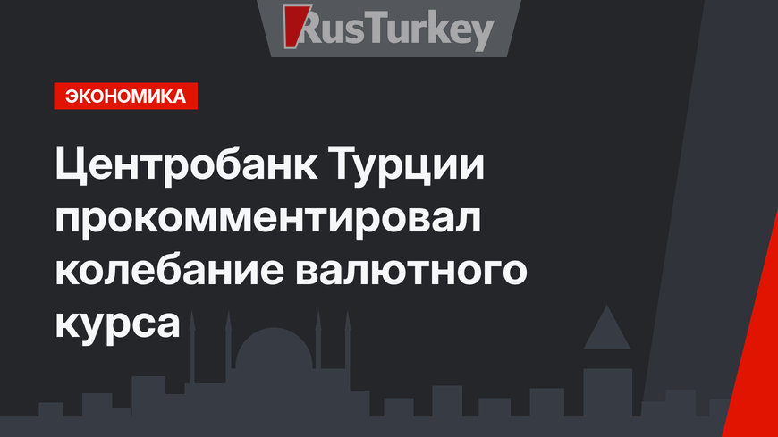 Центробанк Турции прокомментировал колебание валютного курса