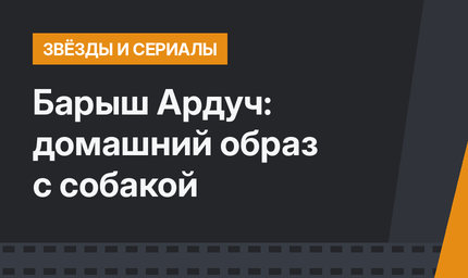 Барыш Ардуч: домашний образ с собакой