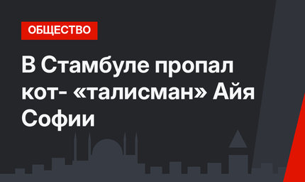 В Стамбуле пропал кот- «талисман» Айя Софии