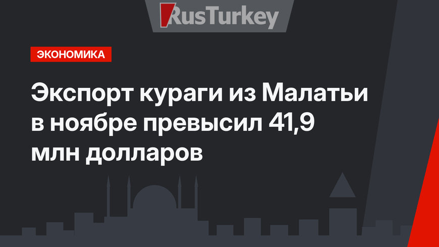 Экспорт кураги из Малатьи в ноябре превысил 41,9 млн долларов