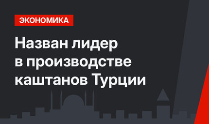 Назван лидер в производстве каштанов Турции