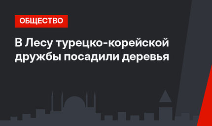 В Лесу турецко-корейской дружбы посадили деревья
