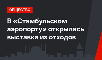 В «Стамбульском аэропорту» открылась выставка из отходов