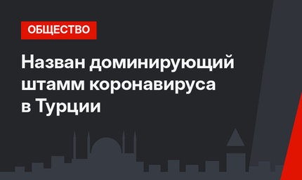 Назван доминирующий штамм коронавируса в Турции