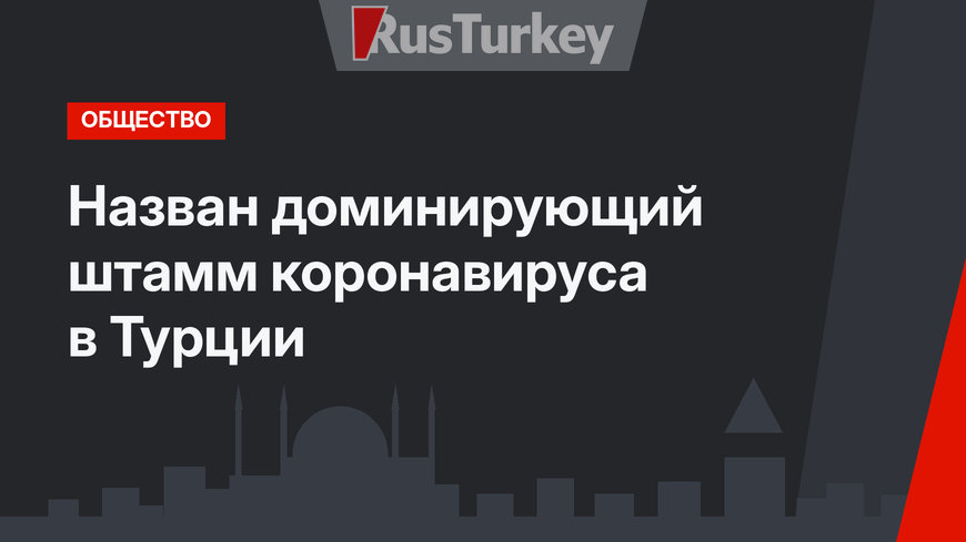 Назван доминирующий штамм коронавируса в Турции