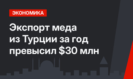 Экспорт меда из Турции за год превысил $30 млн