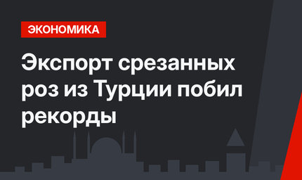 Экспорт срезанных роз из Турции побил рекорды