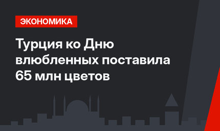Турция ко Дню влюбленных поставила 65 млн цветов