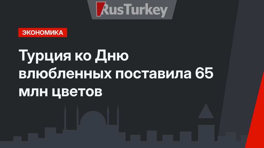 Турция ко Дню влюбленных поставила 65 млн цветов